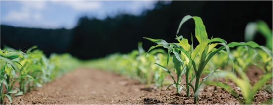 Service 04 アグリ・プランツ