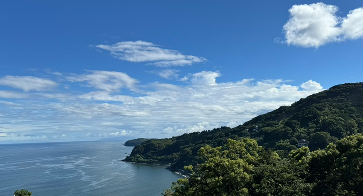 オフグリッドフィールド誕生へ！食とエネルギーを繋ぐ新たな空間デザイン